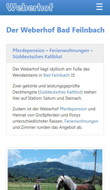 Screenshot mobile Website