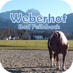 Horse Farm Icon